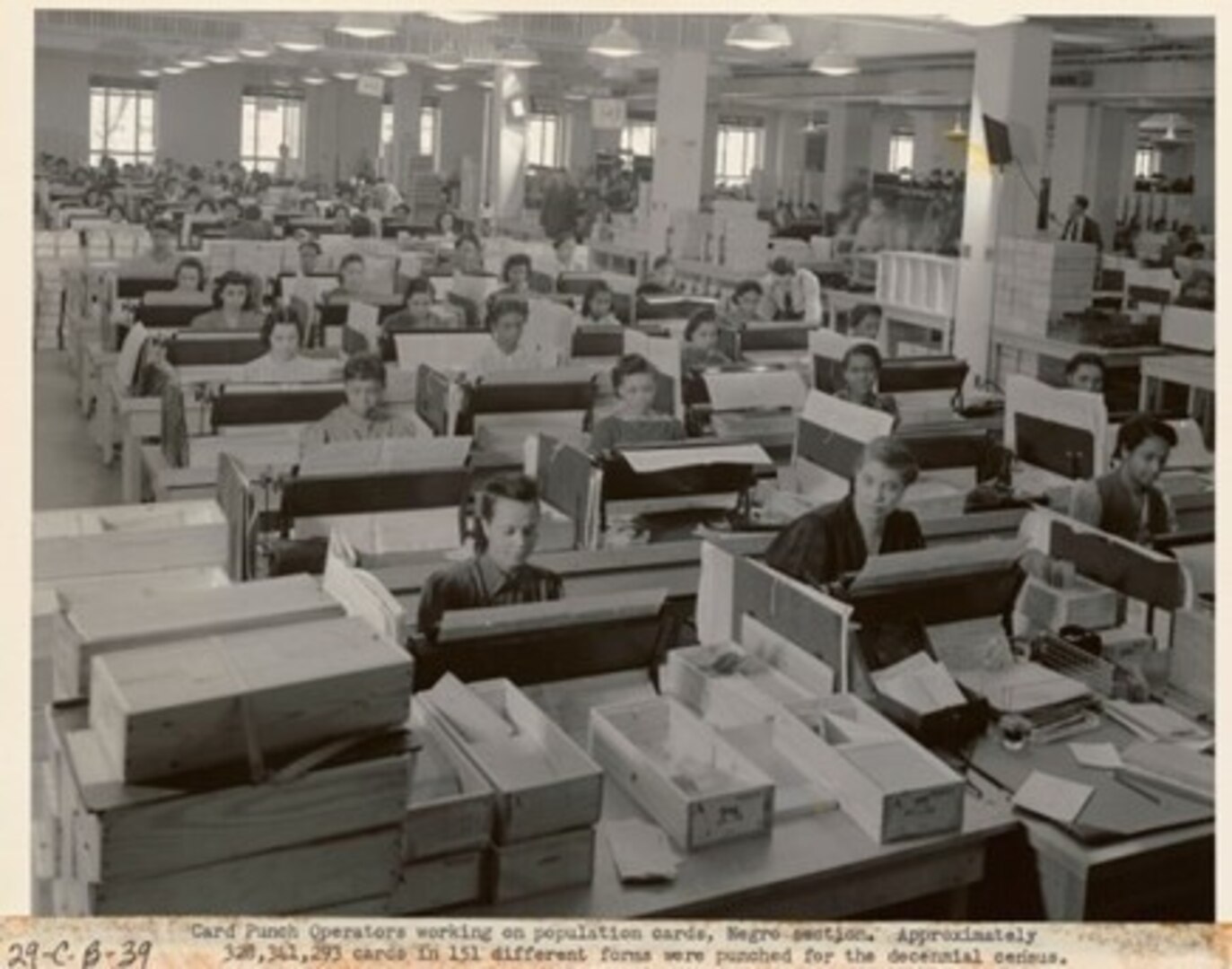 The Black employee section of a government office of civil service employees working on the decennial census. (National Archives (7741404))