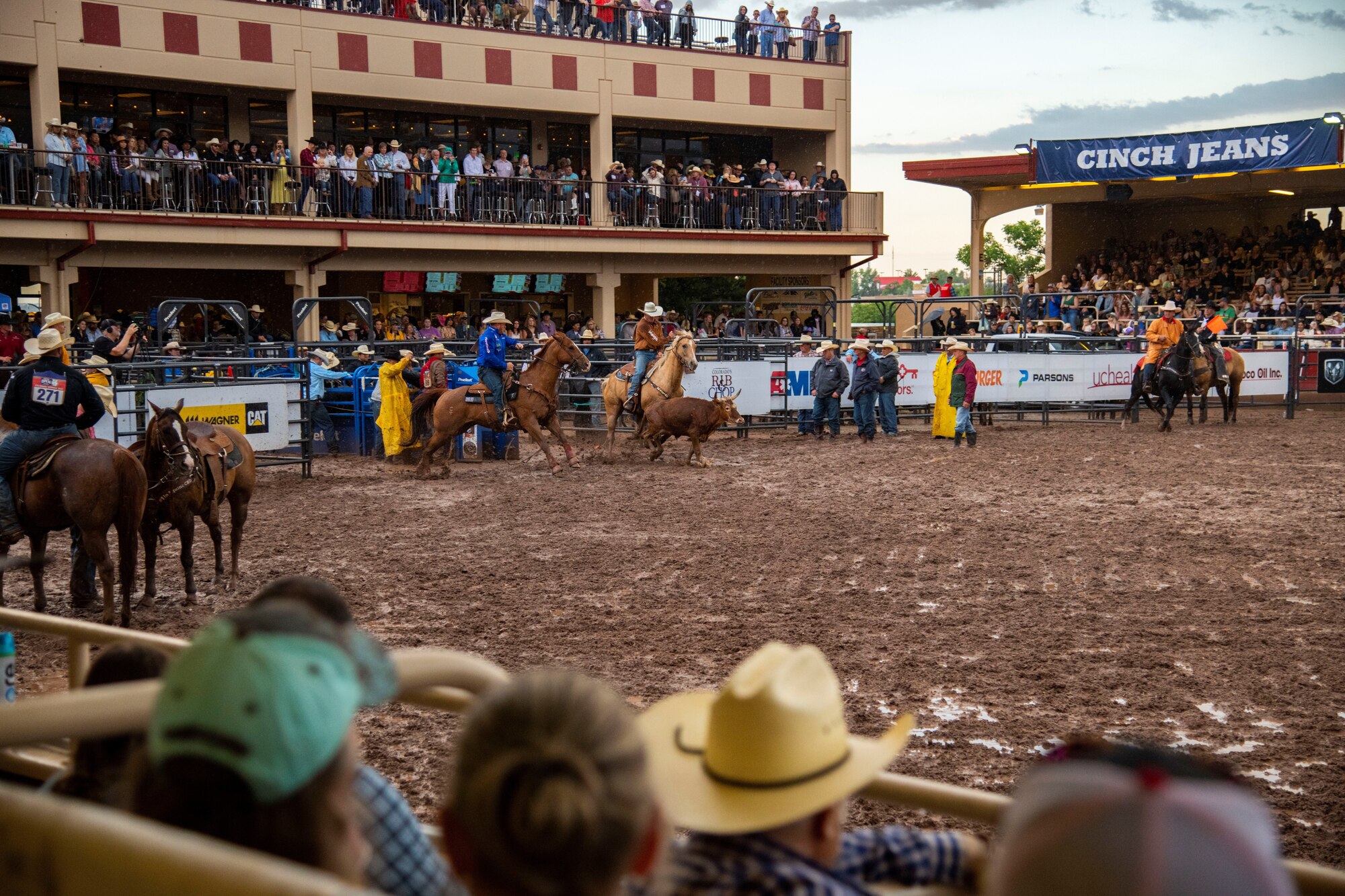 fans watching rodeo
