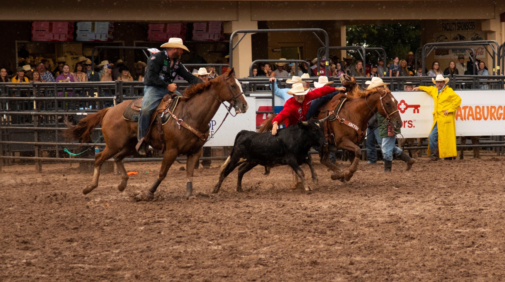 cowboys competing in rodeo