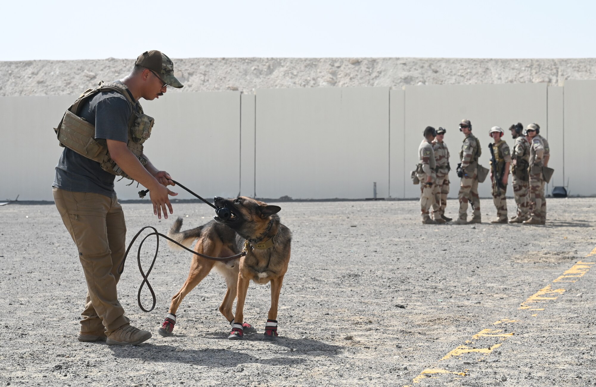 A photo of a man and a dog playing tug-a-war.