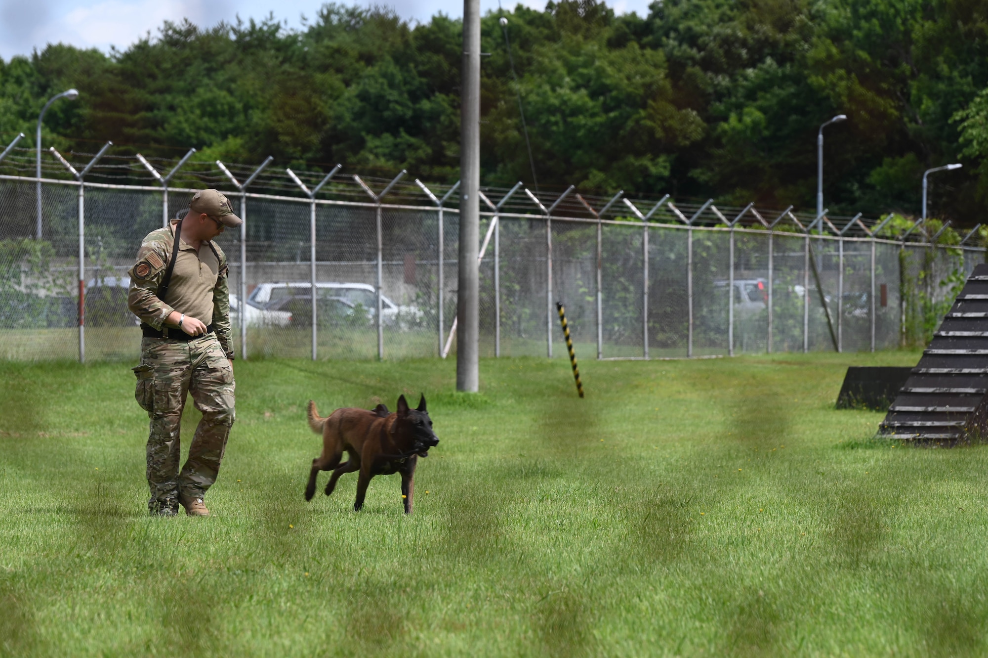 U.S. Air Force Staff Sgt. Tyler Parker, 35th Security Forces military working dog (MWD) handler, demonstrates the MWD’s abilities and training for a Misawa Friendship Tour at Misawa Air Base, Japan, July 14, 2023.