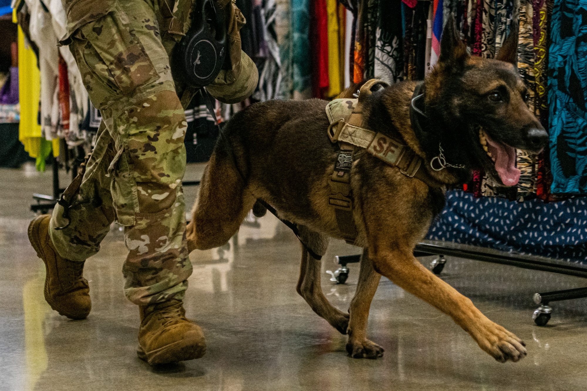 A U.S. Air Force Security Forces Airman and military working dog walk down a path.