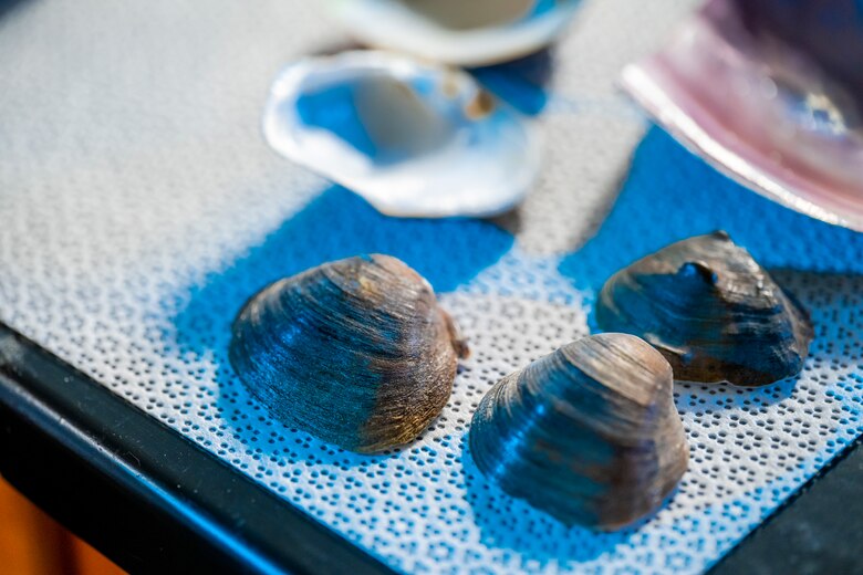 Kristi Dobra is currently pursuing a doctorate at the University of Pittsburgh while researching metals in the Ohio River watershed and their impact on freshwater mussels.