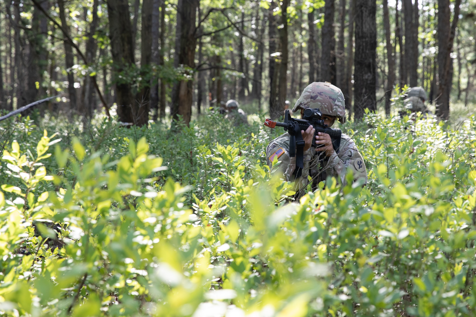 Army Reserve Soldiers succeed in unfamiliar territory