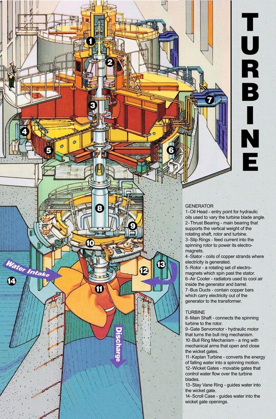 A cross section of a hydropower turbine Unit inside a powerhouse of a dam.