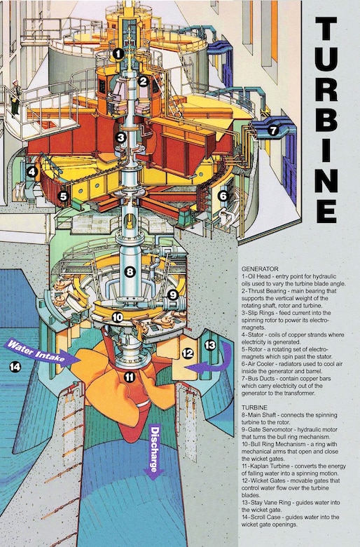 A cross section of a hydropower turbine Unit inside a powerhouse of a dam.