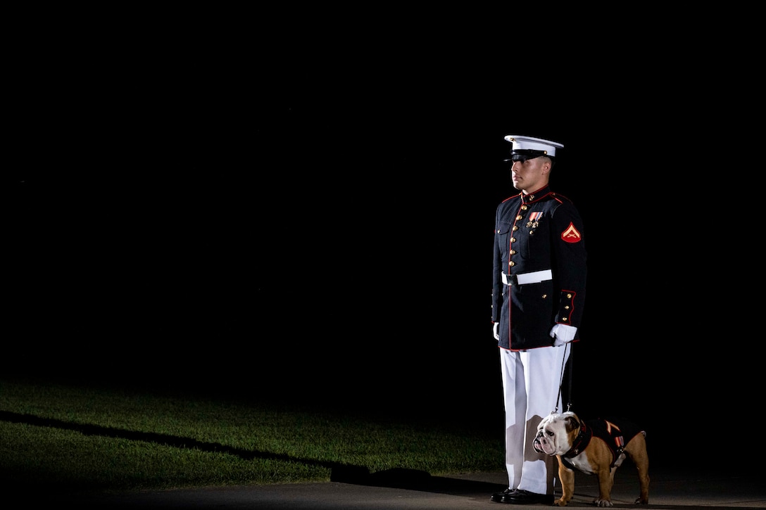 A Marine and a dog stand at attention  at a ceremony.