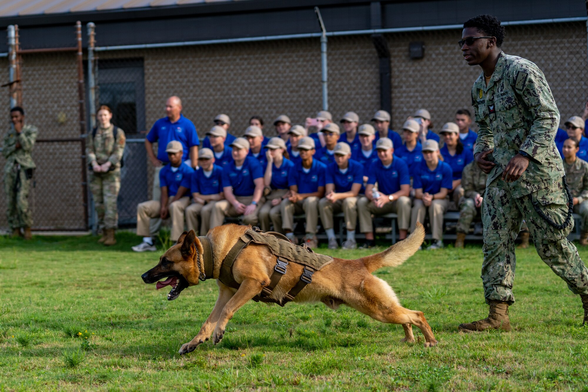 Navy k9 unit on sale