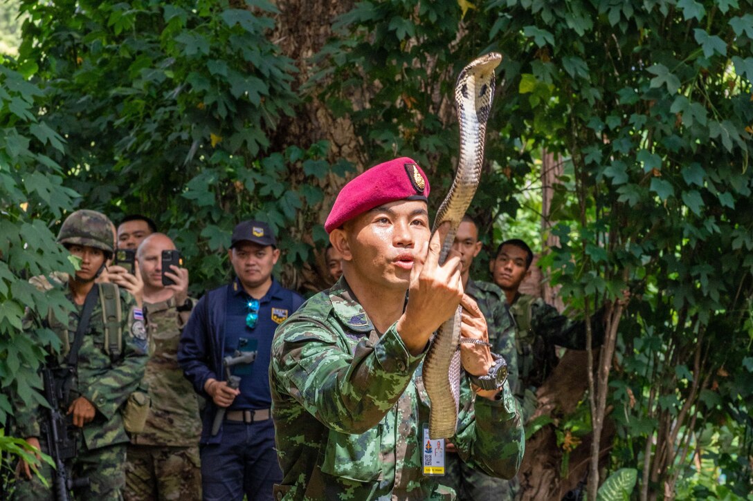 A Thai soldier kneels in the grass while holding a snake as U.S. and Thai soldiers watch or record with phones in the background.