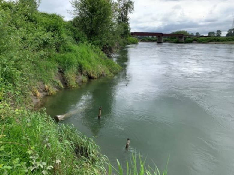 A photo of the Snohomish River near the Marshland Levee.