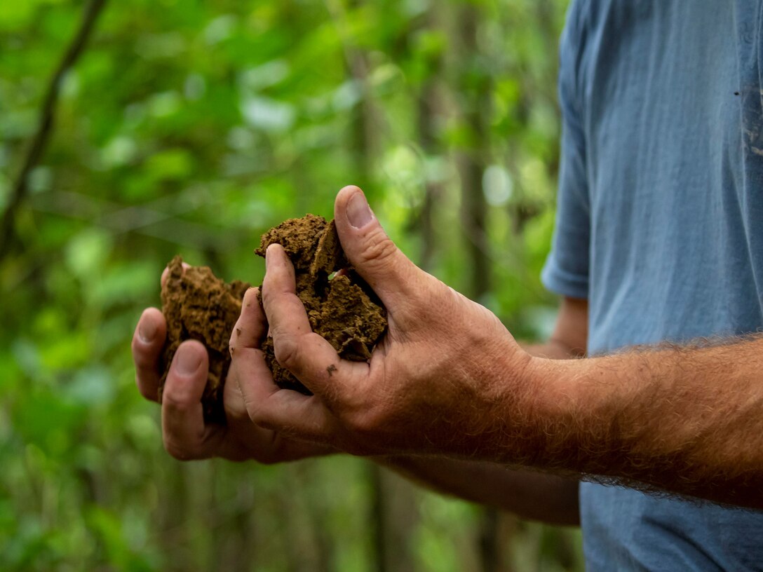 Soil in hands