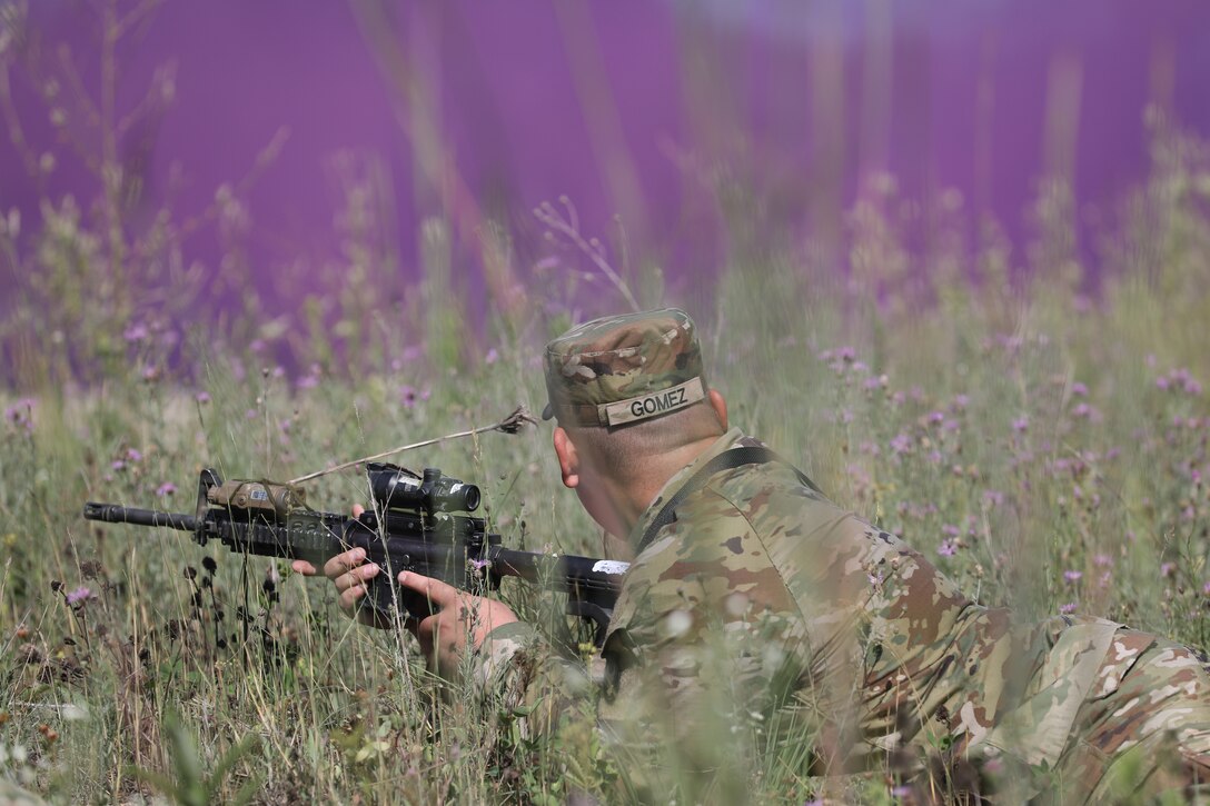 A soldier with his weapon crawls through tall weeds.