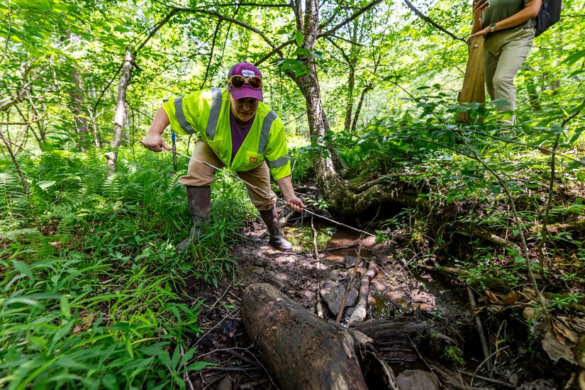 The Environmental and Cultural Resources Section includes biologists, environmental specialists, physical scientists, environmental engineers, archaeologists, a tribal liaison, and a hist