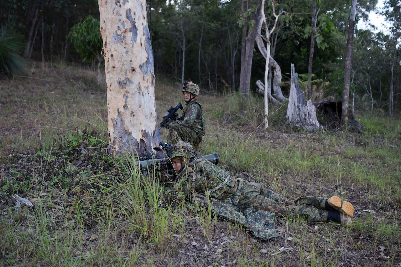 Troops lay low in the woods.