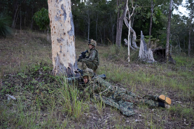 Troops lay low in the woods.