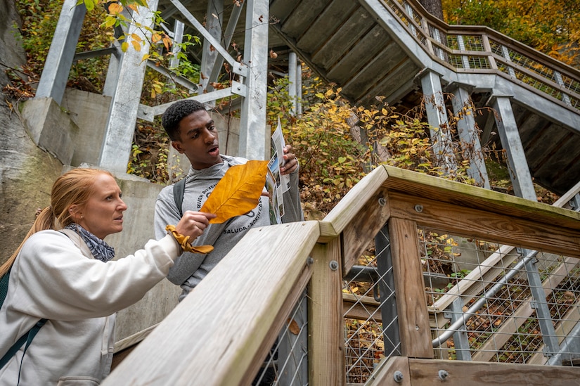 Two people look at a map at the bottom of a steep outdoor stairway.