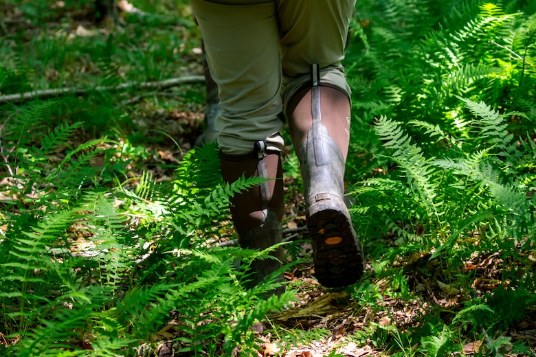 The Environmental and Cultural Resources Section includes biologists, environmental specialists, physical scientists, environmental engineers, archaeologists, a tribal liaison, and a hist
