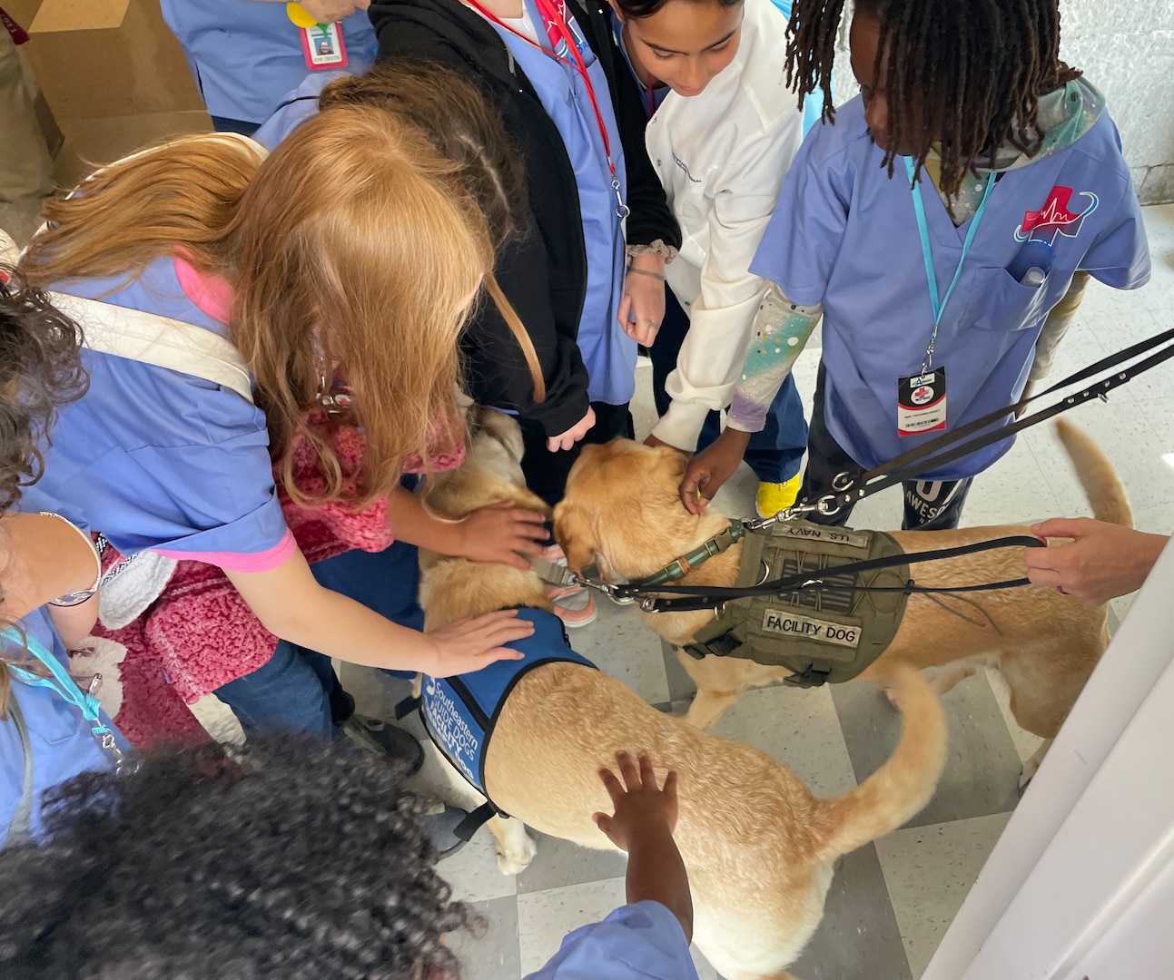 Capt. Charlie (left) and Capt. Patty Mac, two of 10 Navy therapy facility dogs, greet elementary school students from Starbase Victory MedBase summer camp during their tour of Naval Medical Center Portsmouth, July 26. The students toured the original portion of the hospital, built in 1830, and listened to presentations as part of an effort by the school district to expose children to the world of STEM. (U.S. Navy photo by W. Scott Epperson)