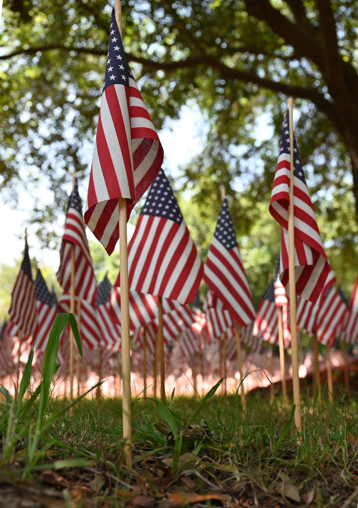 Stars and Stripes flags, all with 48 stars each, blow in the breeze at memorial gardens of the National Museum of the Mighty Eighth Air Force May 28, 2023. Twenty-six thousand flags were placed all around the memorial gardens in preparation for Memorial Day, to honor and remember all those from Eighth Air Force who lost their lives and never returned home from World War II. Airmen from Royal Air Force Mildenhall, volunteers from the 100th Bomb Group Memorial Museum at Thorpe Abbotts, and hundreds of family members of 100th BG veterans, all placed flags for the 757 Airmen from the 100th Bomb Group who never returned home. The flags had 48 stars to represent the flag under which the veterans served during World War II. (U.S. Air Force photo by Karen Abeyasekere)