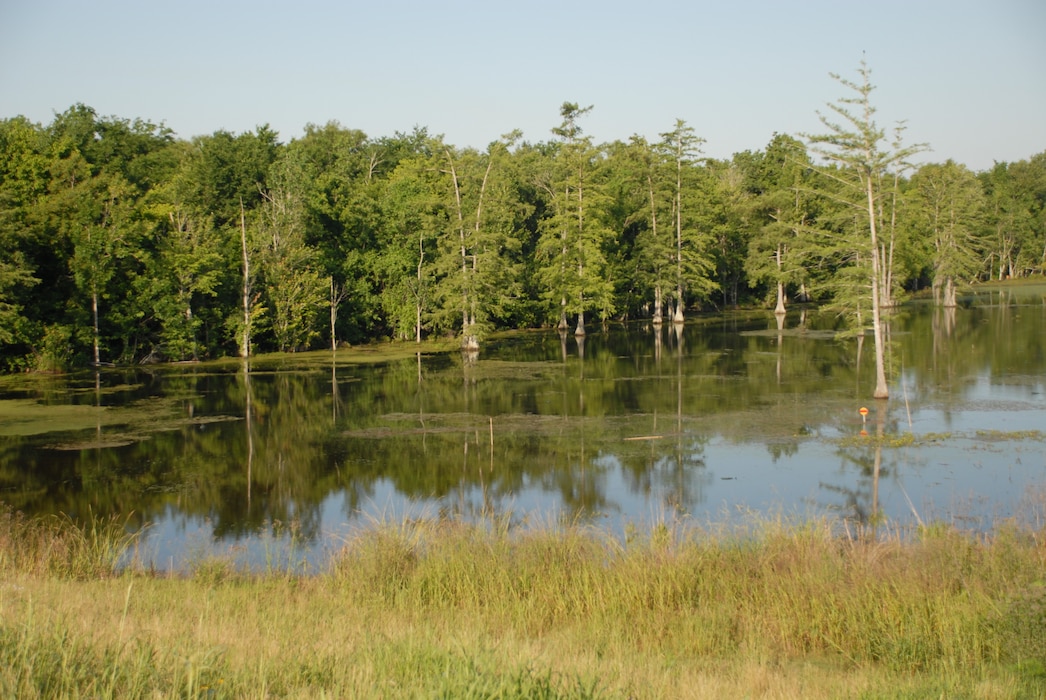 The Morganza and the West Atchafalaya floodways follow down on opposite sides of the Atchafalaya River until the end of the levee system along the Atchafalaya River is reached; there they merge into a single broad floodway that passes the flow to the Gulf through two outlets, Wax Lake and Berwick Bay. `