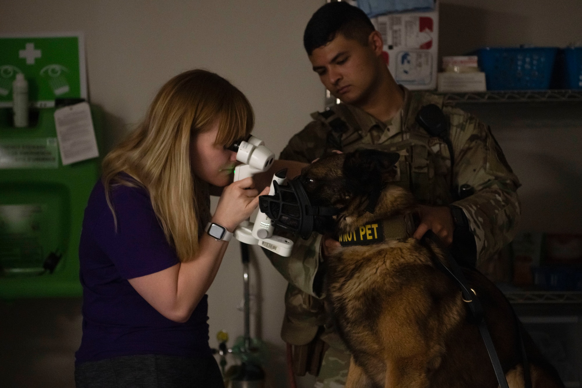 Dr. Jessica Meekins, Kansas State University Veterinary Health Center associate professor of ophthalmology, gives military working dog Sani an eye exam May 30, 2023, at McConnell Air Force Base, Kansas. The eye exams involve dilating the dogs’ eyes and diming the room allowing the veterinarians to screen for abnormalities.