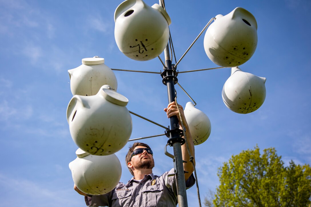 Park rangers and staff at Berlin Lake want to encourage more bird enthusiasts to visit the reservoir