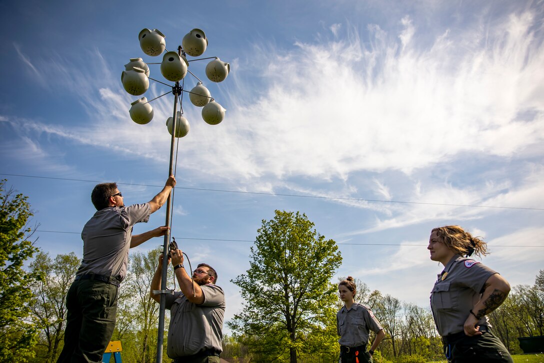 Park rangers and staff at Berlin Lake want to encourage more bird enthusiasts to visit the reservoir