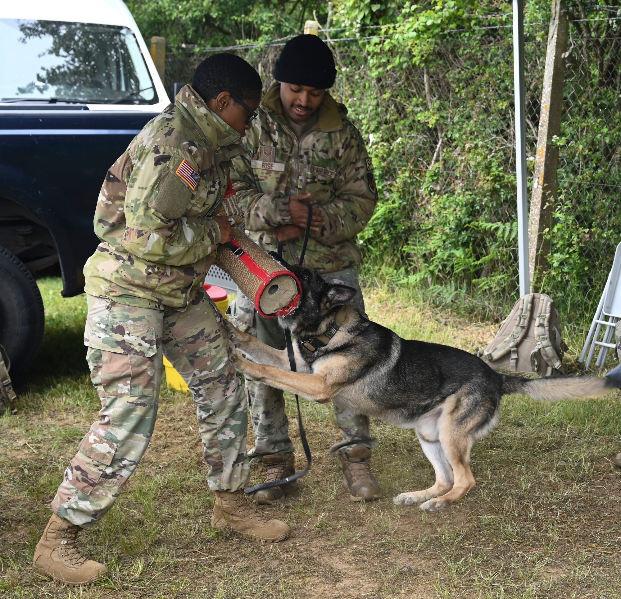Military working dogs provide security to personnel stationed in the tri-base area, as well as deployed Airmen across the world, training daily to ensure they are ready to complete any mission.
