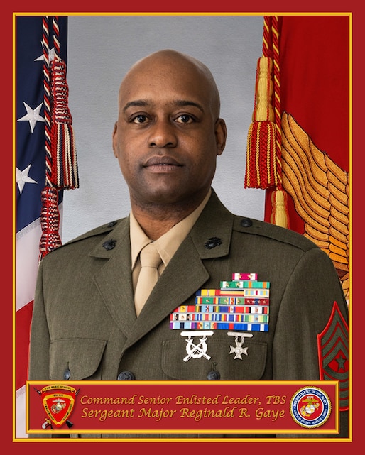 Sergeant Major Reginald R. Gaye > Training Command > Biography