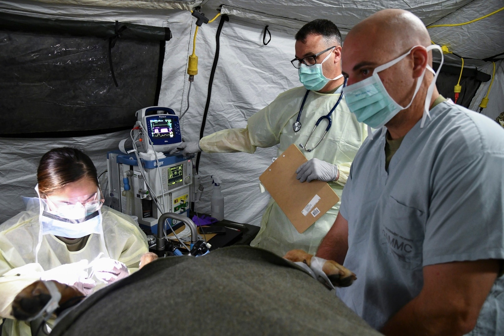 MTEAC conducts test of veterinary anesthesia apparatus on military working dogs