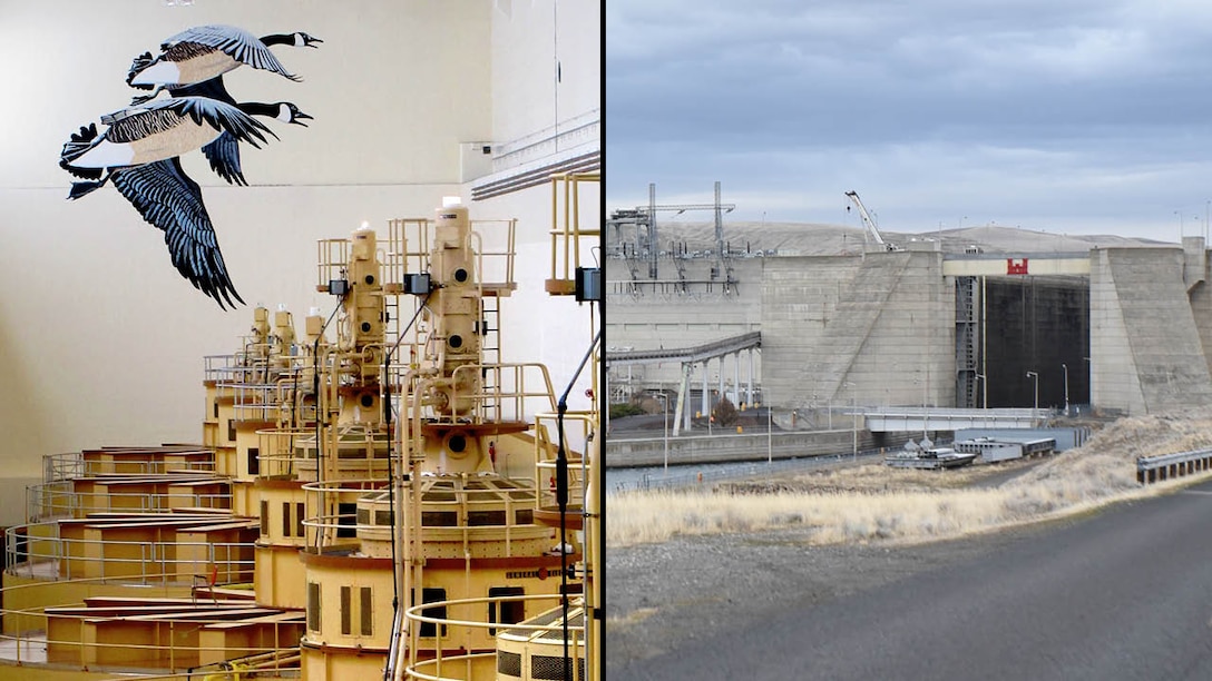 Little Goose was completed in 1970, though additional work would be done over the next several years. The most notable of these additions was the placement of three more turbine units, filling out the powerhouse. These units were completed in 1978. Little Goose is now 53 years old.