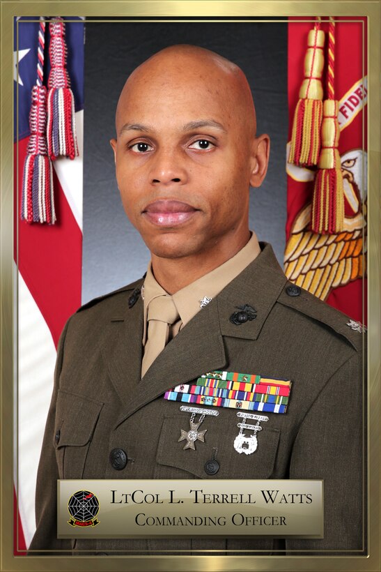 MACS-4 CO LtCol Watts