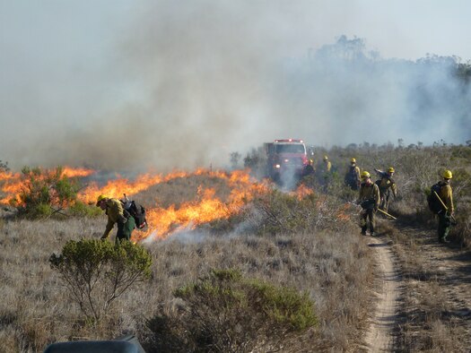 Members of the Vandenberg Fire Department work on putting out a prescribed burn on Vandenberg Space Force Base, Calif.These controlled burns are part of the fire department's Wildland Fire Academy and will involve multiple training evolutions ranging in size from half an acre to one acre. Operations will continue throughout the day until training objective completion. The training enhances the skills of newly assigned firefighters and bulldozer operators in handling wildland fires. (U.S. Air Force Courtesy Photo)