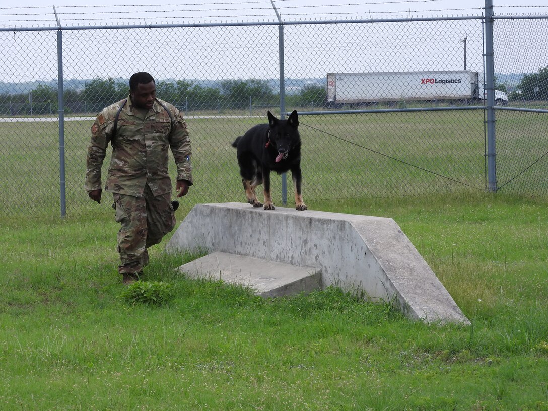 AFSFC inspects MWD kennels at JBSARandolph
