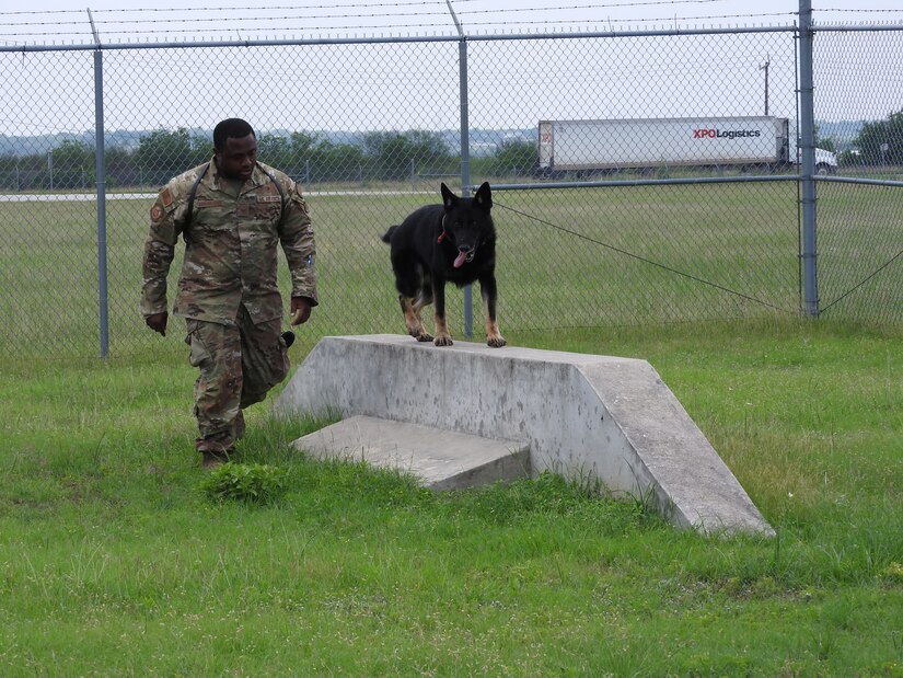 An airman walks beside a dog on an obstacle.
