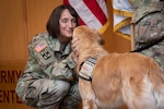 Newly pinned Air Force major accepts his duty with nose bop, paw salute