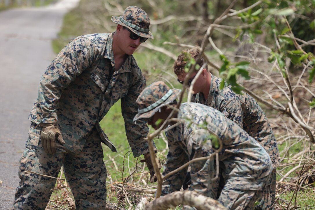 MALS 16 Conducts Post Typhoon Recovery