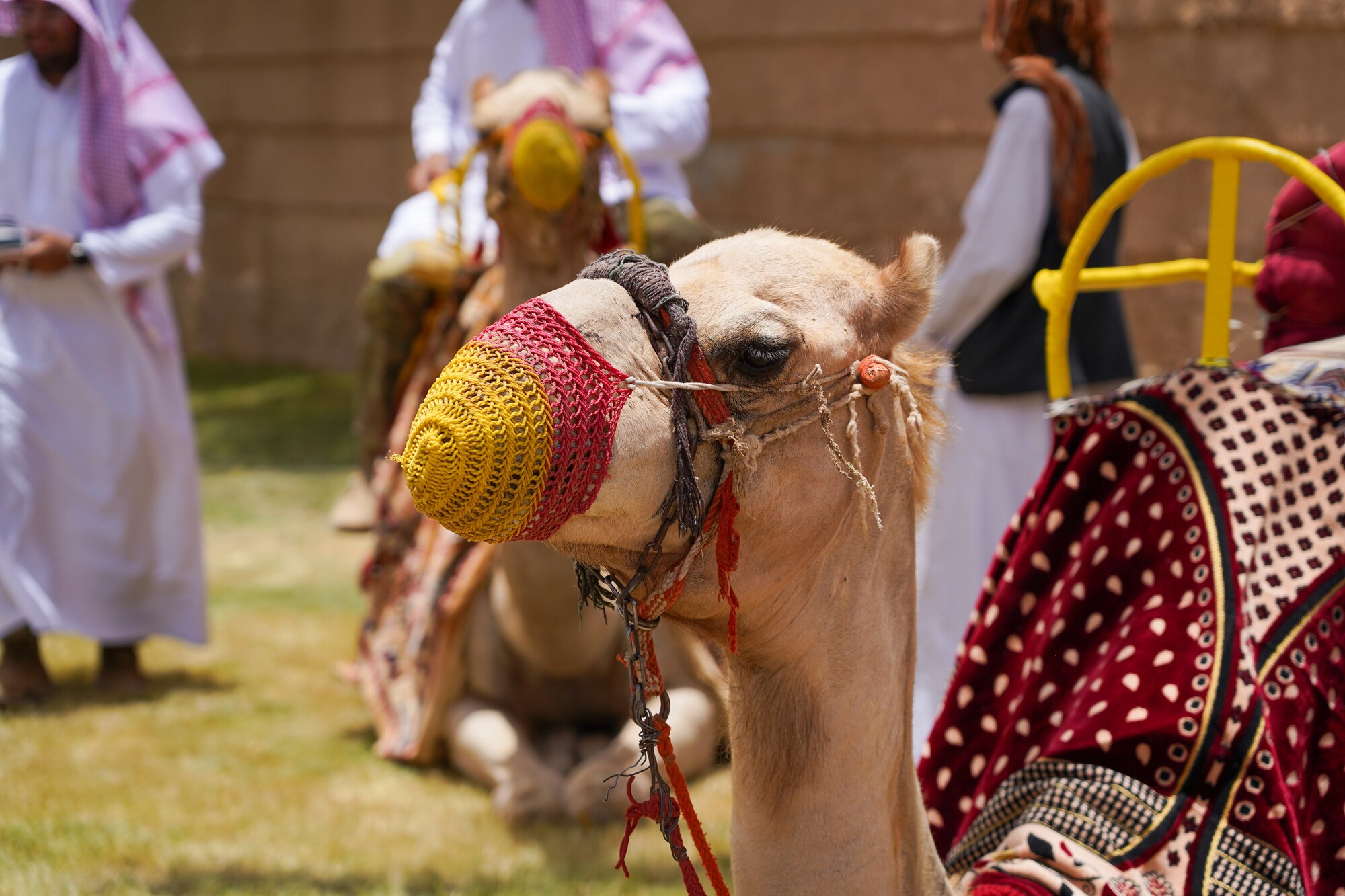 PSAB celebrates "Saudi Cultural Days"