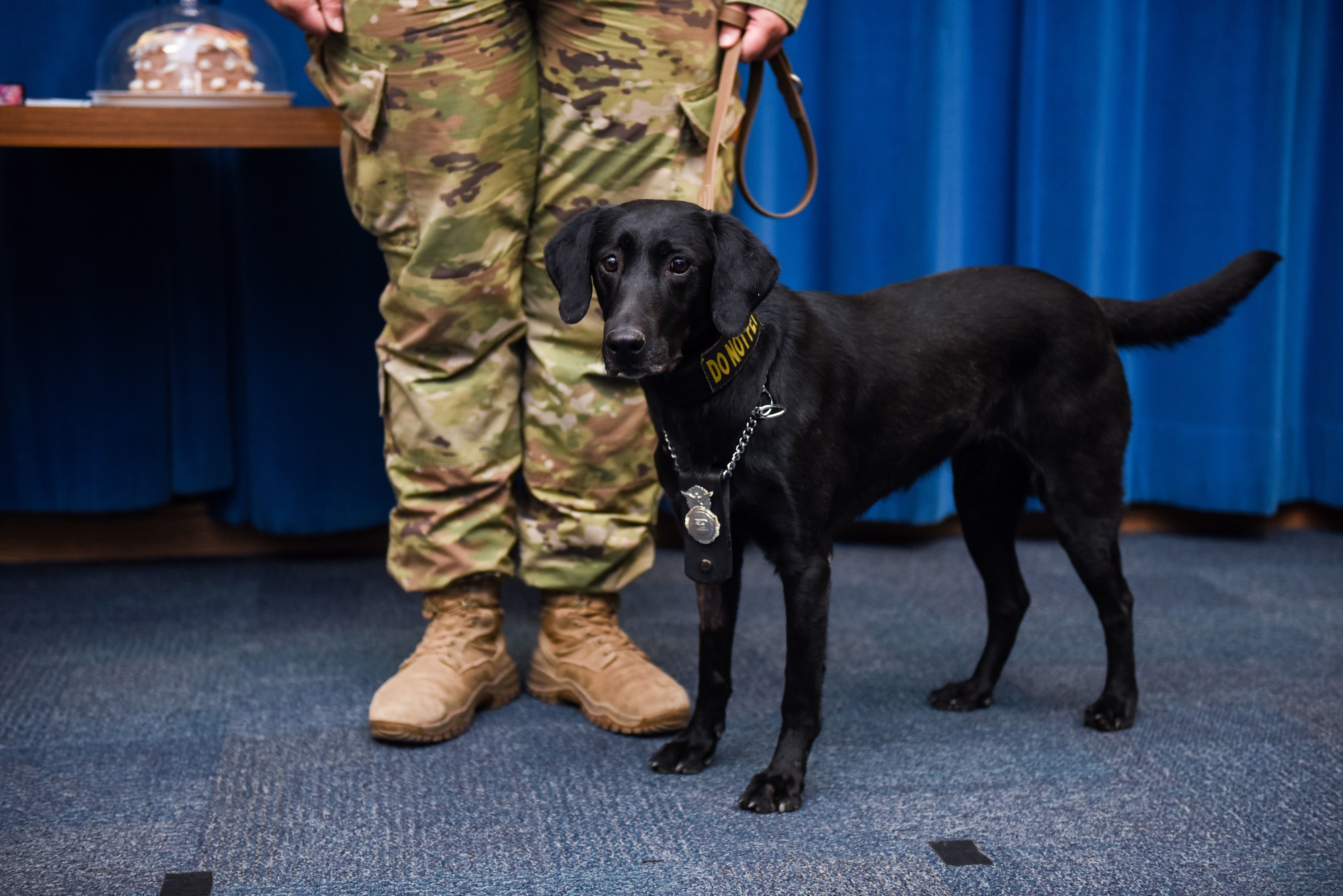 A Military Working Dog retirement ceremony was held.