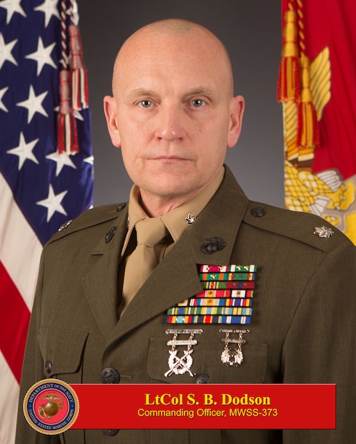 Lieutenant Colonel Steven B. Dodson > 3rd Marine Aircraft Wing > Biography