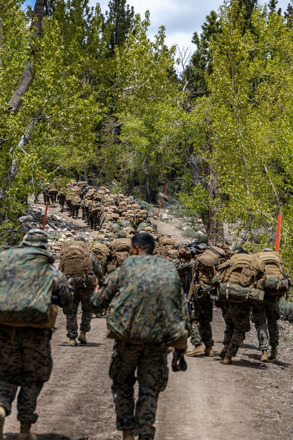 U.S. Marines with Golf Company, 2nd Battalion, 23d Marine Regiment, 4th Marine Division, execute a conditioning hike during Mountain Training Exercise 4-23 at Marine Corps Mountain Warfare Training Center, Bridgeport, California, June 13, 2023. Marines begin MTX by conducting conditioning hikes to acclimate to their environment in preparation for increasingly difficult training that will prepare them for the challenges of operating in a mountainous environment. (U.S Marine Corps photo by Lance Cpl. Samwel Tabancay)