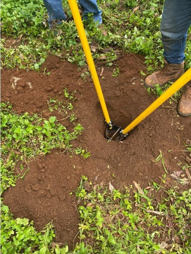 Typical bauxite soil in the Pedernales Province.  Samples were obtained both at the surface and subsurface (approx. 12 inches) by hand auger.