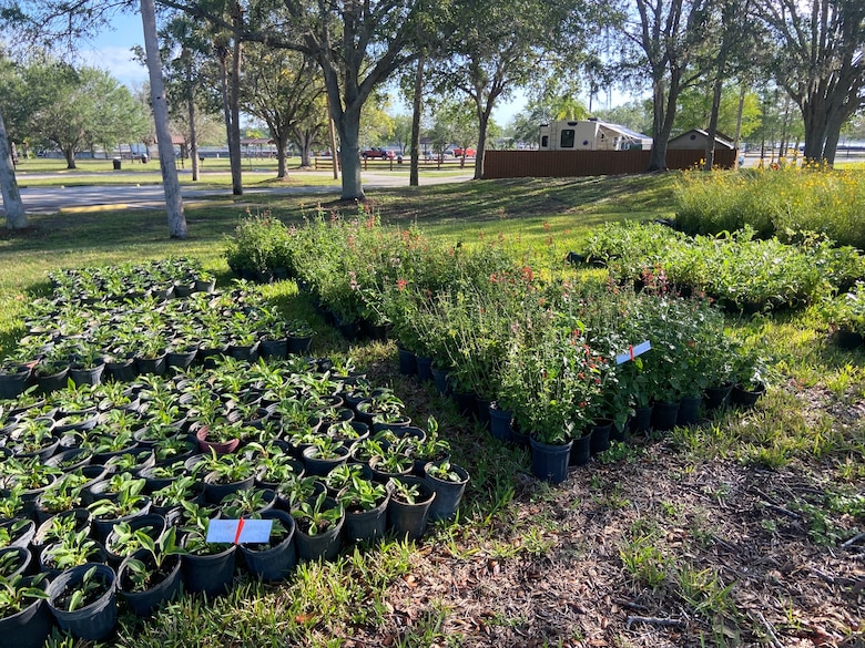 Volunteers will plant nearly 9,000 native pollinator wildflowers and grasses at the W.P. Franklin Recreation Area during Pollinator Week on June 24, in the second phase of plantings to reforest an 8.5 acre open field as part of the Engineering with Nature Program.
