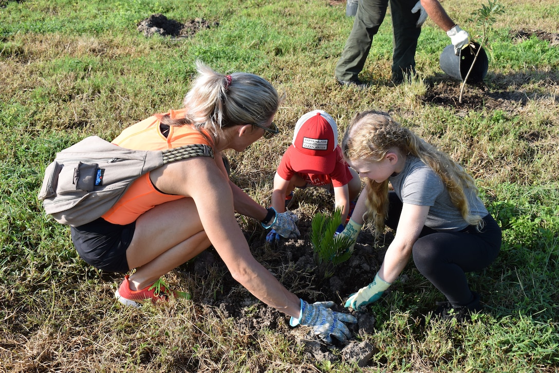 A family of volunteers plant Coontie, the larval host plant for the Atala butterfly, which is listed as endangered by the State of Florida.