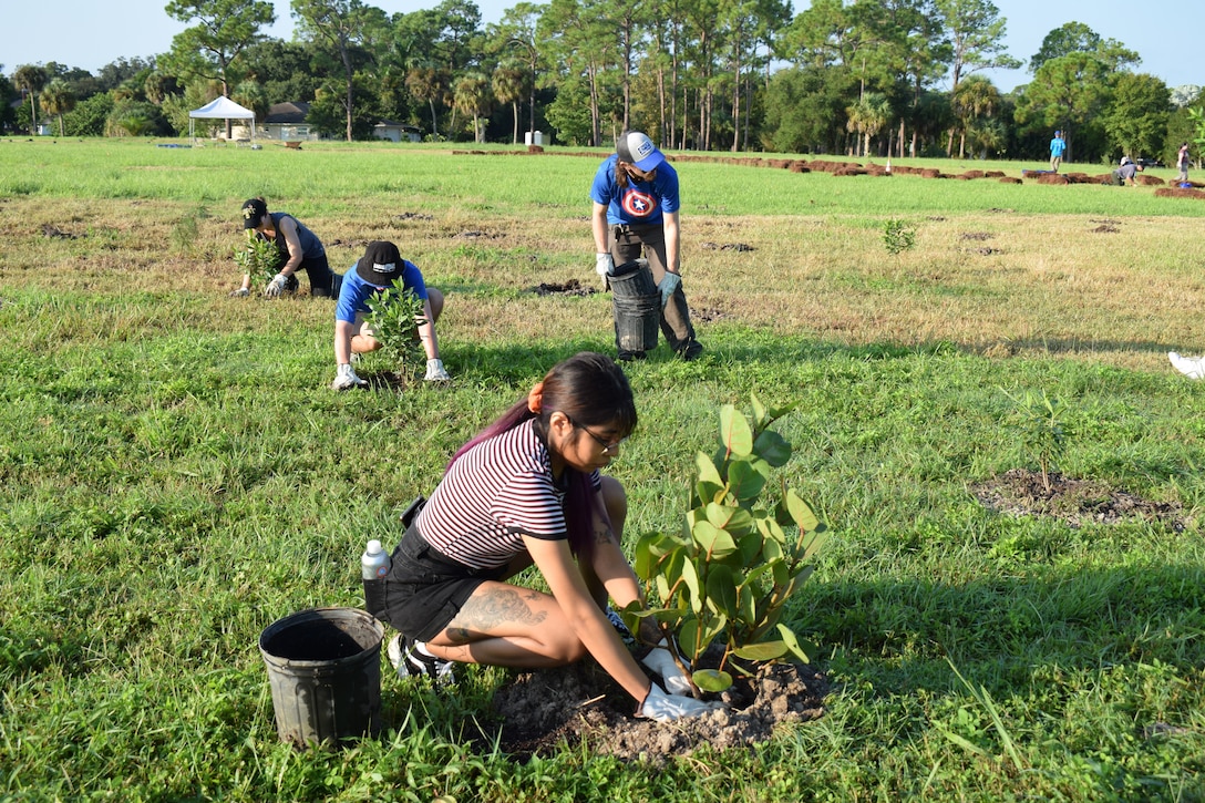 Student volunteers plant trees to reforest a large open field.