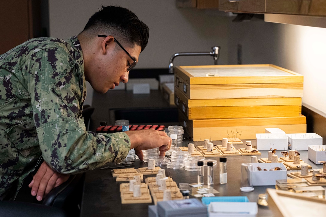 A service member examines insects in a laboratory.