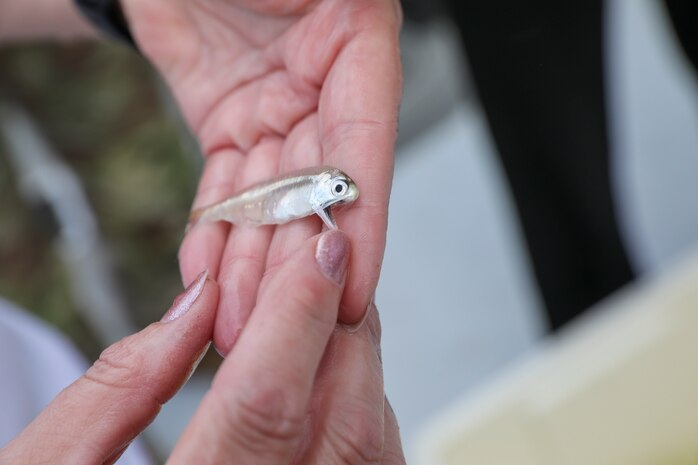 I-STORM is the international knowledge sharing network for all those working in the storm surge barrier industry. I-STORM seeks to create a world better protected from tidal flooding.