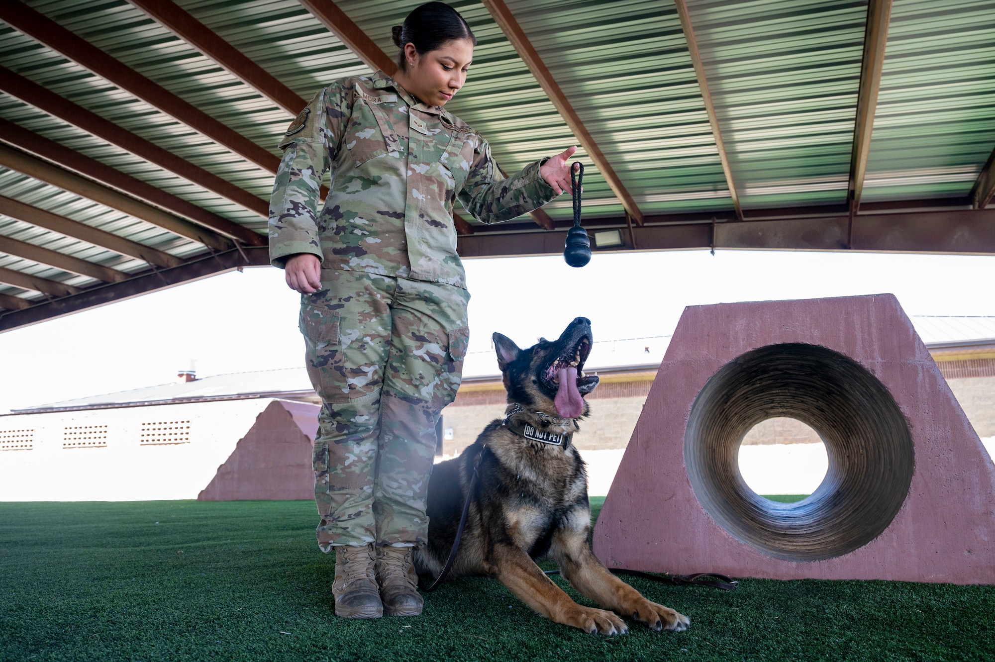 U.S. Air Force Senior Airman Elyse Mora, 49th Security Forces Squadron military working dog handler, and her MWD Ilay, practice obedience commands at Holloman Air Force Base, New Mexico, May 23, 2023.