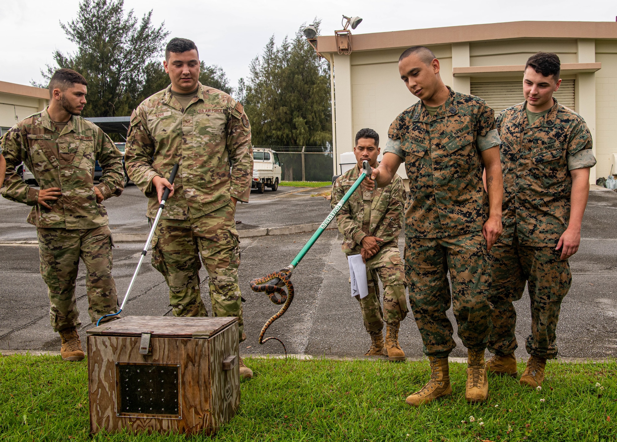 Airmen and Sailors handle snakes.