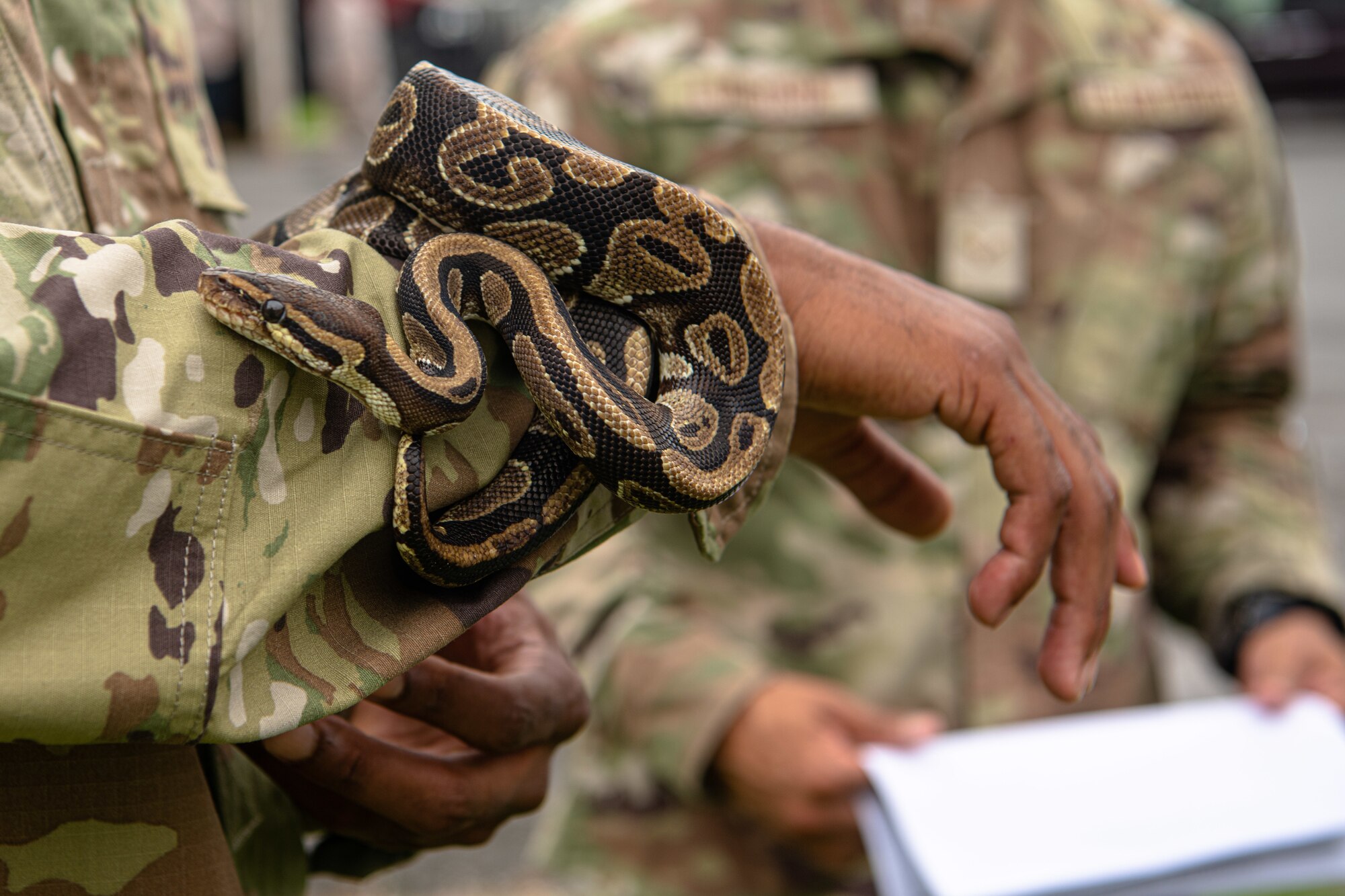 Airman handles a snake.